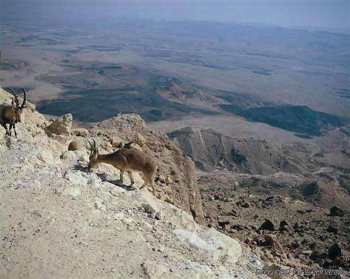 Ramon Inn By Isrotel Collection Mitzpe Ramon Exterior foto